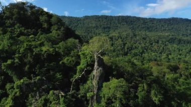 Bontoc şehri, pirinç tarlalarının üzerinde ve dağlarda, Asya, Filipinler, Ifugao, Luzon, güneşli bir yaz gününde, Banaue 'ya doğru..