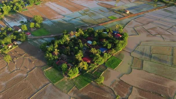 在阳光明媚的夏日 菲律宾 伊富高 在晨雾中的青山中 稻田向巴瑙 邦托克和萨加达飞去 — 图库视频影像