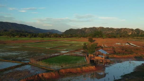 Zielony Tarasy Ryżowe Środku Gór Azji Filipiny Ifugao Luzon Kierunku — Wideo stockowe