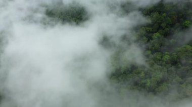 Dağların üzerinden bulutlar ve Asya 'daki tropikal ormanlar, Laos, Khammouane, bulutlu bir günde Thakek' e doğru..