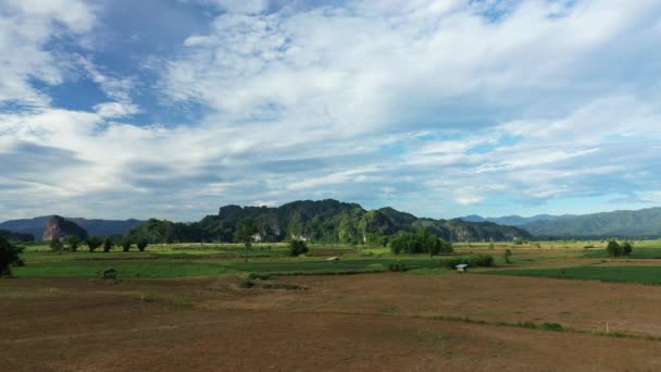 Campo Laotian Seus Campos Arroz Verdes Secos Ásia Laos Khammouane — Vídeo de Stock