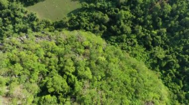 Güneşli bir günde, Asya 'da, Laos' ta, Khammouane 'de, Thakek ve Konglor' a doğru sarp bir uçurum ve yemyeşil ormanlar var..