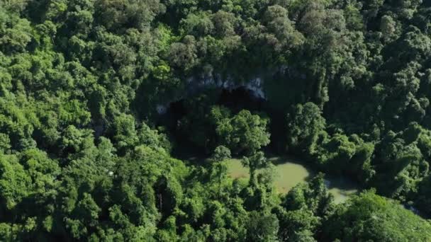 Vista Superior Cueva Konglor Escondida Por Selva Tropical Asia Laos — Vídeo de stock