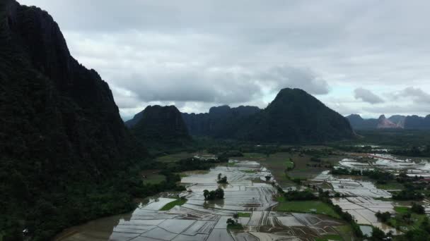 Rice Fields Water Foot Mountains Tropical Forests Asia Laos Vientiane — Stock Video