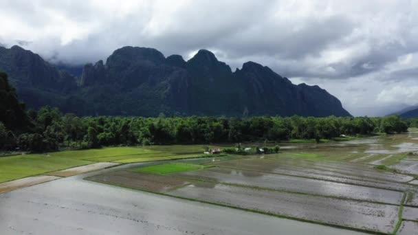 Pola Ryżowe Wodzie Środku Gór Lasów Kierunku Vang Vieng Azji — Wideo stockowe