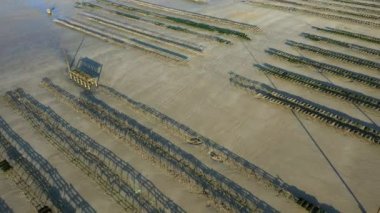 Avrupa, Fransa ve Normandiya 'daki Utah sahilindeki istiridye yatakları, baharda, güneşli bir günde Carentan' a doğru..