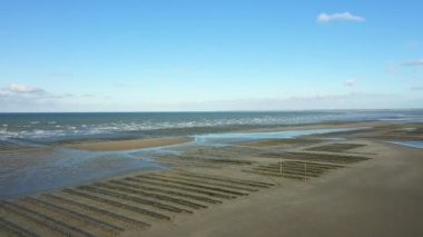 Avrupa, Fransa ve Normandiya 'da Utah sahilinde İngiliz Kanalı' na bakan istiridye yatakları, baharda, güneşli bir günde, Carentan 'a doğru..