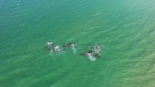 Sebuah Elemen Terendam Dari Pelabuhan Buatan Pantai Omaha Eropa Prancis — Stok Video