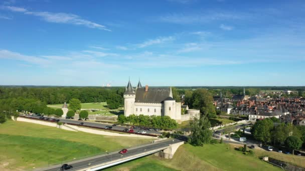 フランス中央部ロワレのダムピエール原子力発電所の城夏の晴れた日に — ストック動画