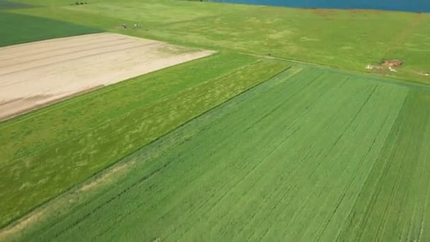 Gyönyörű Francia Vidék Európában Franciaországban Normandiában Deauville Felé Nyáron Egy — Stock videók