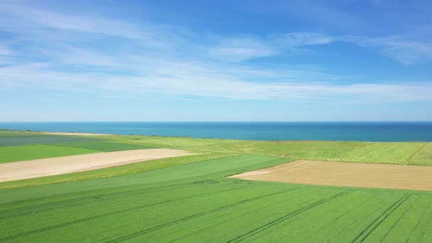 Borde Los Acantilados Normandos Borde Del Canal Mancha Europa Francia — Vídeos de Stock