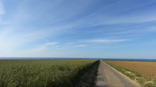 Літом Сонячний День Форт Сагр Вершині Скель Європа Португалія Алгарве — стокове відео