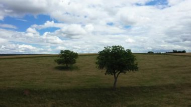 Sanguinaires Adaları, kayalık tepelerin eteklerinde, Avrupa 'da, Fransa' da, Korsika 'da, Ajaccio' ya doğru, Akdeniz kıyılarında, yazın, güneşli bir günde,.