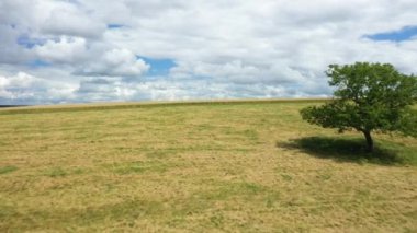 Fransız çayırları, güneşli bir günde Avrupa, Fransa, Burgundy, Nievre 'deki yeşil ağaçlarla benekli..
