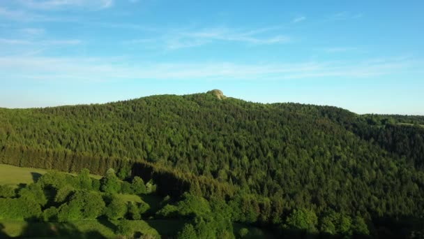 Verde Campo Francês Suas Árvores Europa França Ardeche Verão Dia — Vídeo de Stock