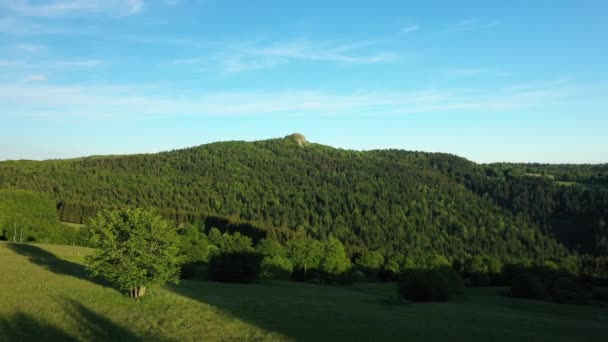Dennen Sparrenbossen Het Groene Platteland Europa Frankrijk Ardeche Zomer Een — Stockvideo