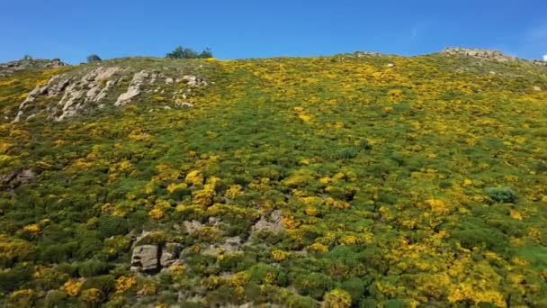 Ein Felsiger Hügel Blüht Und Grünt Europa Frankreich Ardeche Sommer — Stockvideo