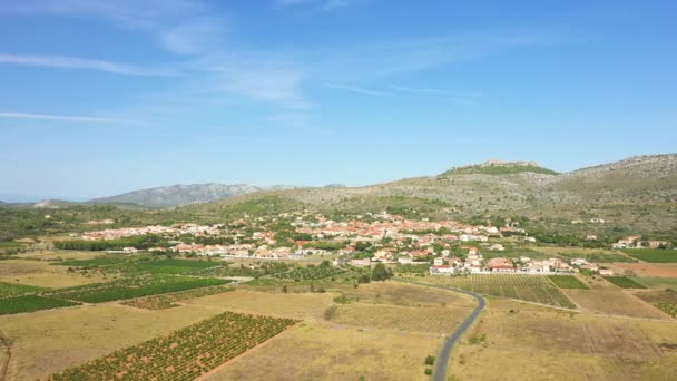 Campo Verde Pelo Mar Jónico Europa Grécia Peloponeso Verão Dia — Vídeo de Stock