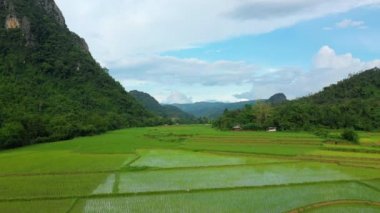 Muang Ngoi Neua 'nın Asya' daki Nong Khiaw 'a doğru pirinç tarlaları, Laos, güneşli bir yaz gününde, Luang Prabang' a doğru..