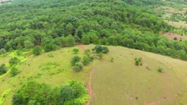 Asya 'daki Kavanozlar Ovası' nda bir tepe Laos. Yazın, bulutlu bir günde, Luang Prabang 'a doğru..