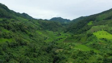 Asya 'nın yeşil dağlarının ortasındaki tropik ormanlar, Laos, güneşli bir yaz gününde, Luang Prabang' a doğru..