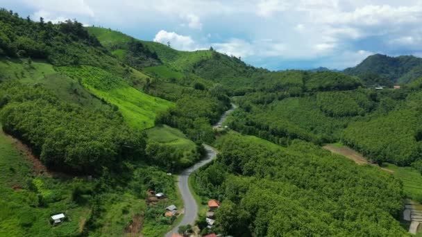 Uma Estrada Atravessa Florestas Verdes Exuberantes Meio Montanhas Ásia Laos — Vídeo de Stock