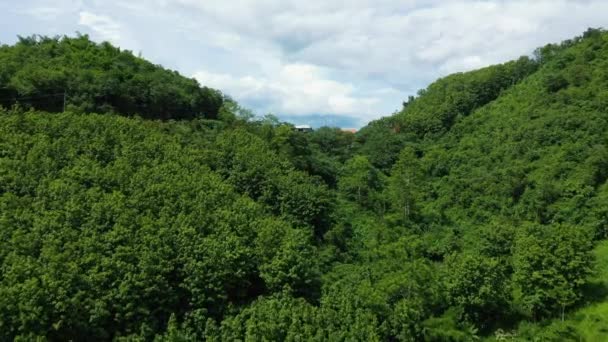 Леса Зеленых Горах Азии Лаоса Сторону Луангпрабанга Летом Солнечный День — стоковое видео