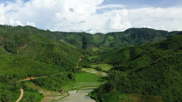 Road Runs Green Forests Rice Fields Asia Laos Luang Prabang — Stockvideo