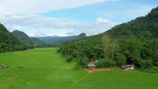 アジア ラオスのNong Khiawに向かってMuang Ngoi Neuaの山に囲まれた田んぼ 夏の晴れた日にルアンパバーンに向かって — ストック動画