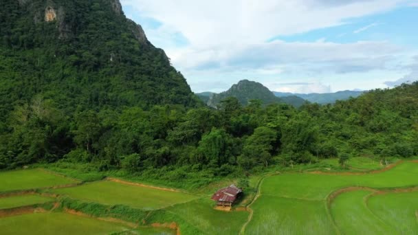 在一个阳光明媚的夏天 在Muang Ngoi Neua的绿稻田边 有一座传统的房子 通往亚洲的Nong Khiaw 老挝的Luang Prabang — 图库视频影像