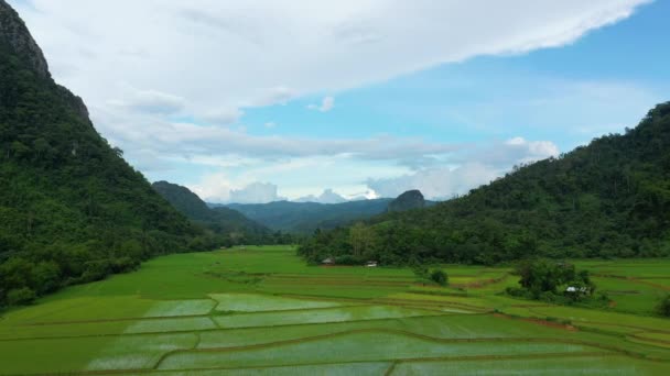 在阳光明媚的夏天 在Muang Ngoi Neua被绿山环绕的稻田朝向亚洲的Nong Khiaw 朝向Luang Prabang — 图库视频影像