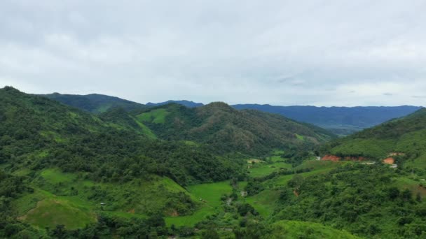 Rijstvelden Weelderige Groene Bossen Midden Het Platteland Azië Laos Tussen — Stockvideo