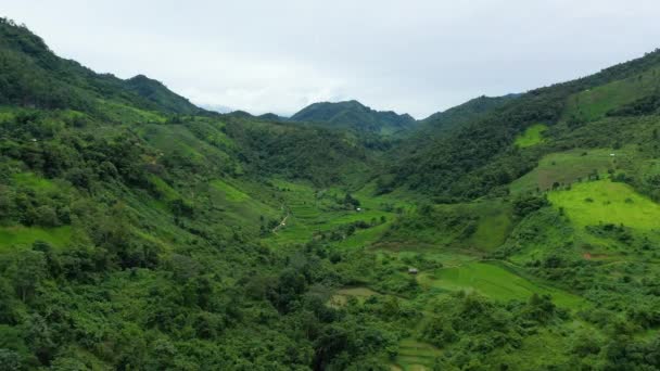 Asya Nın Yeşil Dağlarının Ortasındaki Tropik Ormanlar Laos Güneşli Bir — Stok video