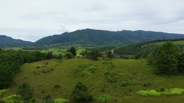 Lush Green Meadows Middle Plain Jars Countryside Asia Laos Luang — Stock Video