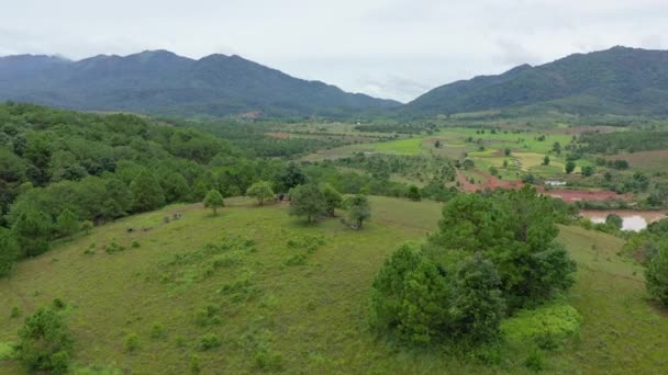 Desa Hijau Lebat Dataran Jars Asia Laos Arah Luang Prabang — Stok Video