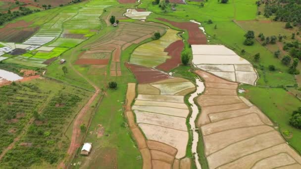 Campos Arroz Meio Planície Frascos Ásia Laos Direção Luang Prabang — Vídeo de Stock