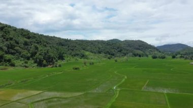 Ormanlar ve dağlar, yazın güneşli bir günde, Vientiane ve Luang Prabang arasında Asya 'daki pirinç tarlalarının etrafını sarar..