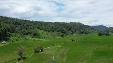 Yazın, güneşli bir günde, Vientiane ve Luang Prabang arasında, Asya 'daki yemyeşil pirinç tarlaları ve ormanlar Laos..