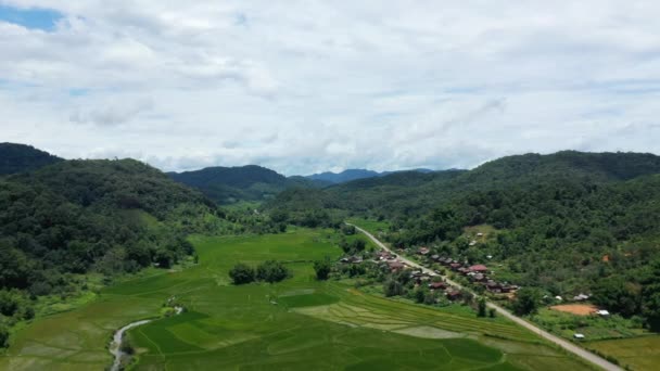 Egy Hagyományos Parasztfalu Zöld Vidék Közepén Ázsiában Laoszban Vientiane Luang — Stock videók