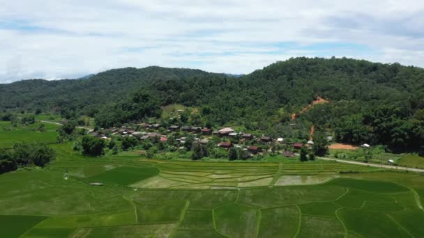 Village Milieu Des Rizières Dans Campagne Verdoyante Asie Laos Entre — Video