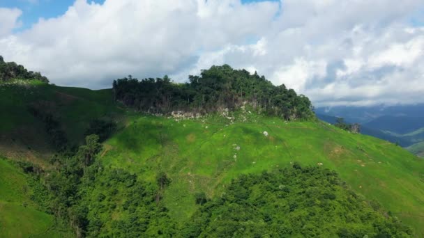 Bosque Cima Una Montaña Verde Que Sufrido Deforestación Asia Laos — Vídeo de stock