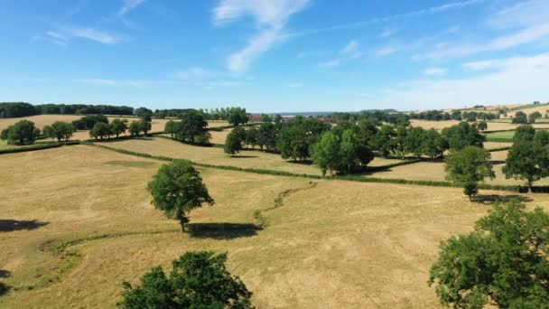 Het Groene Elzasser Platteland Tussen Bossen Bergen Europa Frankrijk Elzas — Stockvideo