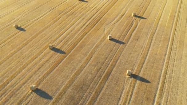 ヨーロッパ フランス ブルゴーニュ ニーヴル 嵐の日のフィールドの真ん中に麦わらの俵 — ストック動画