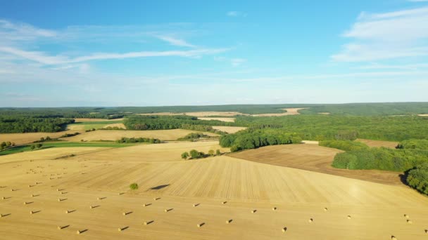 Het Franse Platteland Met Zijn Bossen Velden Europa Frankrijk Bourgondië — Stockvideo