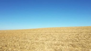 Avrupa, Fransa, Burgundy, Nievre 'de güneşli bir günde hasat edilen bir tarla ve panoramik manzara.