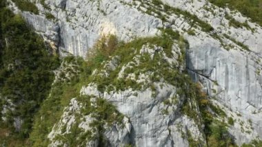 Avrupa, Fransa, Alpler, Isere 'deki Massif de la Chartreuse' deki kurak ve yeşil uçurumlardaki kayalar güneşli bir günde.