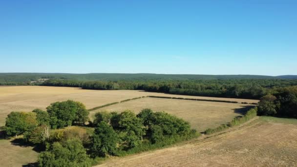 夏の晴れた日にヨーロッパ フランス ブルゴーニュ ニエールのフィールドや森林の真ん中に森 — ストック動画