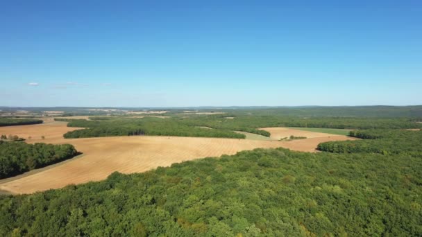 Hatalmas Erdők Francia Vidéken Európában Franciaországban Burgundia Nievre Nyáron Egy — Stock videók