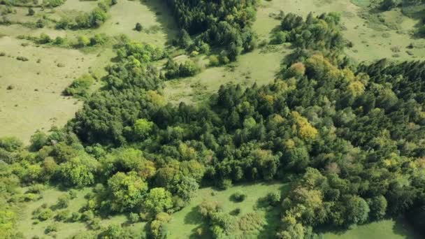 Vegetationen Massif Chartreuse Europa Frankrike Alperna Isere Sommaren Solig Dag — Stockvideo