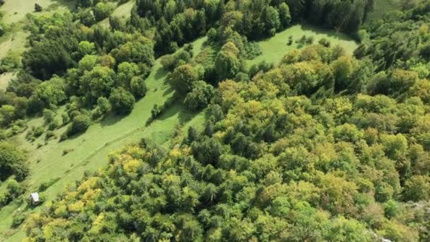 Die Grünen Wälder Des Massif Chartreuse Europa Frankreich Den Alpen — Stockvideo